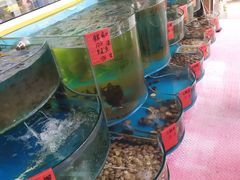 -四海蒸鲜蒸汽海鲜自助(北戴河店)