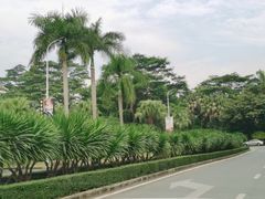 -观澜湖旅游度假区