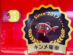 -伊豆观海列车