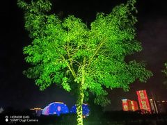 -保定东湖公园(莲池区)