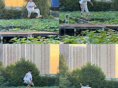 -海合安武汉极地海洋公园