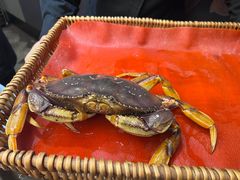 -新加坡珍宝海鲜JUMBO Seafood(西安skp店)