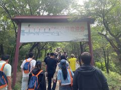-磬锤峰森林公园