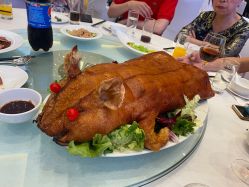 -上海雅居乐万豪侯爵酒店·宴会厅