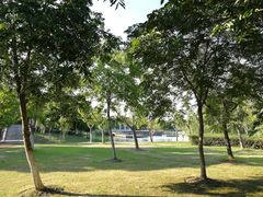-尚贤河湿地