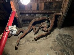 -张掖大佛寺景区