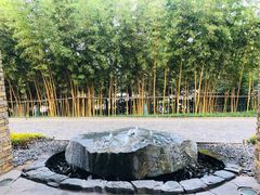 -芭东小镇温泉
