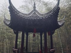-仙霞关景区