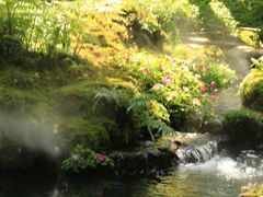 -Chom Cafe and Restaurant