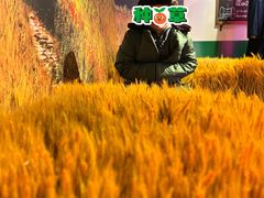-北京杜莎夫人蜡像馆