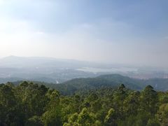 -水濂山森林公园