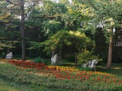 -团结湖公园
