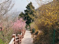 -香山公园
