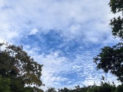 -黄埔油麻山森林公园