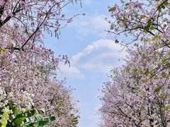 -金成潮菜博物馆(海珠湿地店)