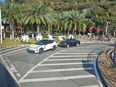 -野狸岛