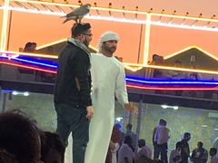 -迪拜沙漠冲沙