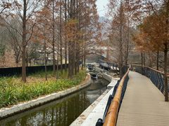 -白水寺森林公园
