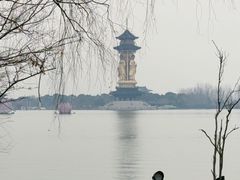 -溱湖国家湿地公园