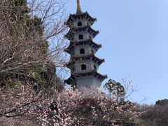 -圣莲山风景区