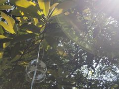 -黄公望隐居地