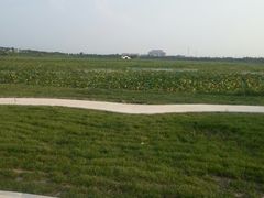 -天津东丽湖风景区