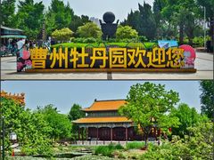 -曹州牡丹园