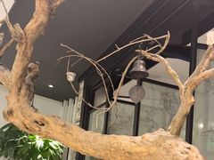 -羲和雅苑•北京烤鸭(国贸商城店)
