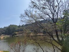 -南国桃园旅游度假区