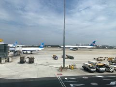 -广州白云国际机场-T2航站楼