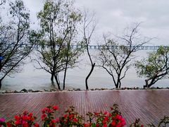 -宝安西湾红树林湿地公园