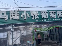 -马陆小张葡萄园农家乐