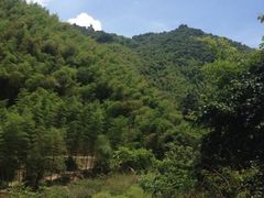 iphone_upload_pic-千泷沟大瀑布旅游区