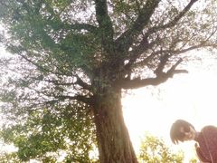 picture-中旅阿那亚九龙湖·公主酒店