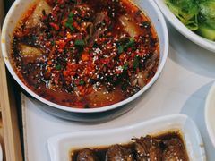 -新仙清汤牛腩(铜锣湾店)