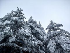 -峨眉山风景名胜区
