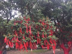 -玫瑰小镇