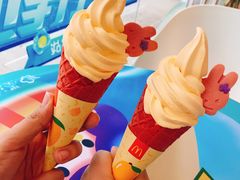 -麦当劳(塔园路店)