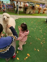 -萌宠亲子动物乐园(槐房万达店)