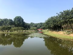 -东莞植物园