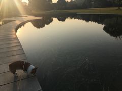 -上海月湖雕塑公园