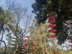 -广州市白云山风景名胜区