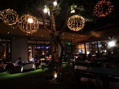 -T館·花园艺术餐厅