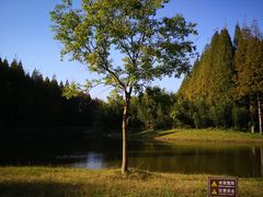 -黄海国家森林公园