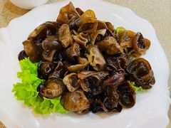 木耳蘸辣根-杨记小骨头羊杂馆(南五马路店)