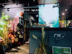 -咖法森林·咖啡  酒吧(天河店)