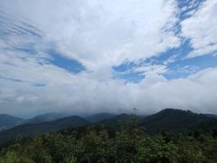 -武陵山森林公园