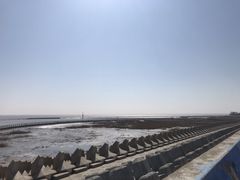 -南汇嘴观海公园