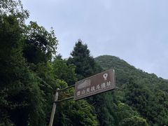 -娄山关景区