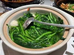 -煲煲好(朝阳门店)